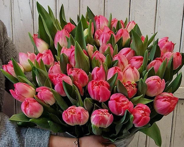 fleurs de saisons au Mans dans la Sarthe 72